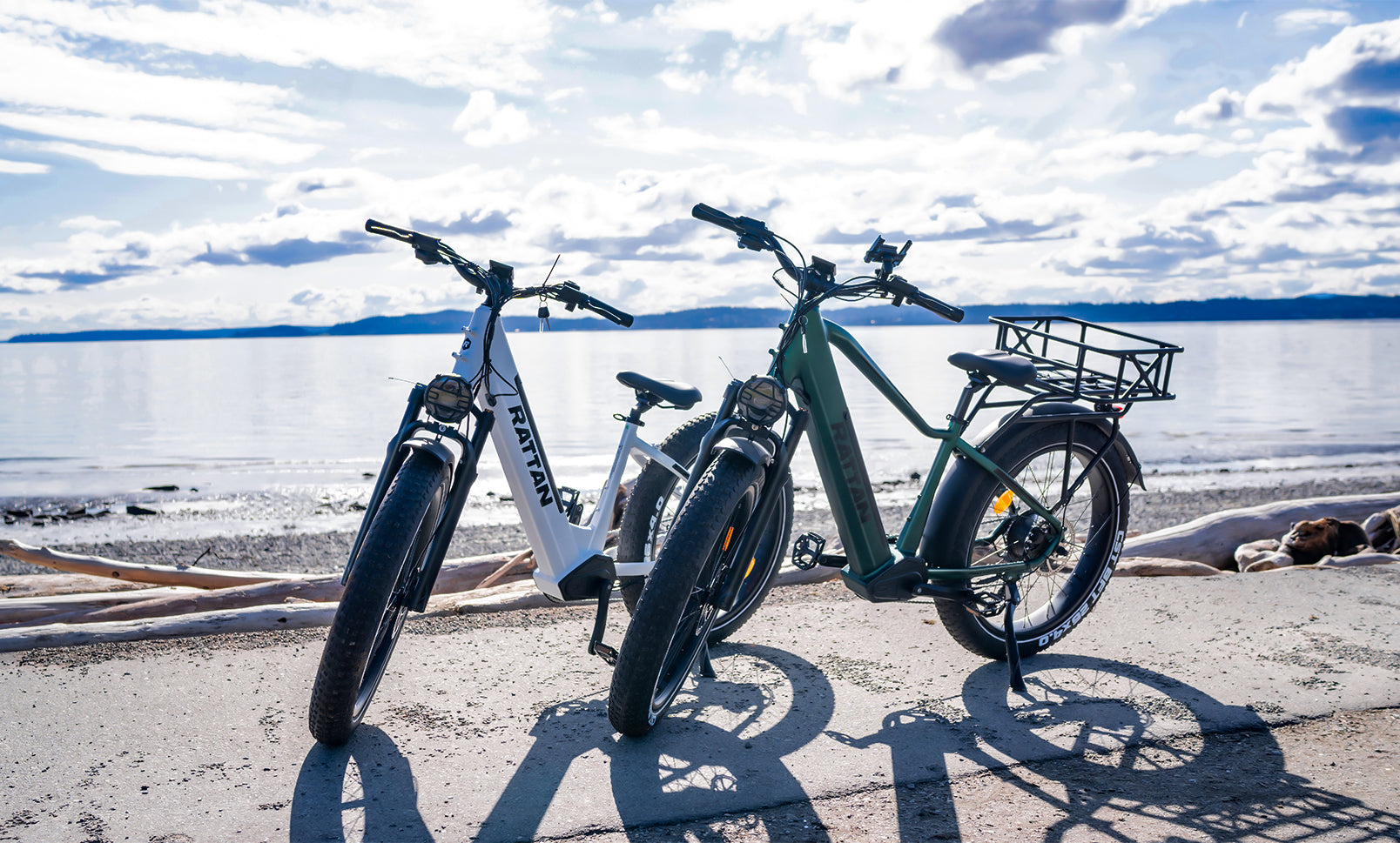 Electric bike gears