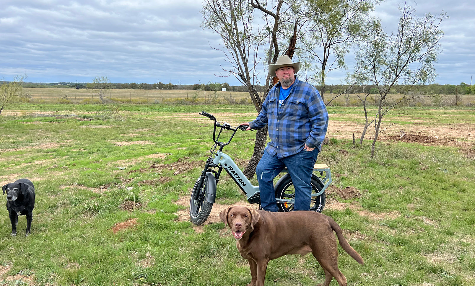 Understanding the Differences Between Spring Forks, Oil Forks, and Air Forks for E-Bikes