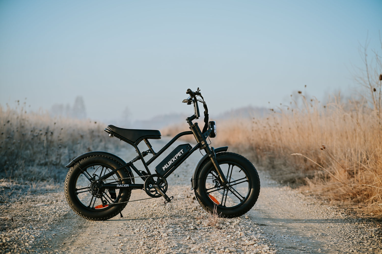 moped style electric bicycle CYCROWN CycHunter 2.0 Long-Range Moped-Style Fat Tire Ebike, 1500W Peak, Up to 32 MPH, 48V 26Ah Dual Battery, 20 x 4.0 Fat Tires This Turbo Moped HOVSCO HovGtrs Moped-style E-Bike Black