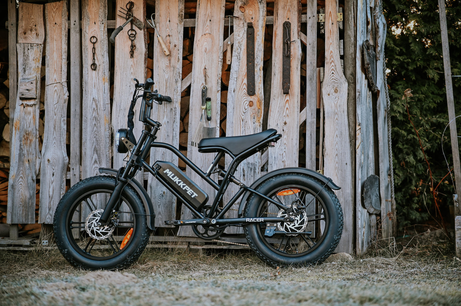 Moped-Style E-Bikes in Europe: The Ultimate Guide to Power, Style, and Performance