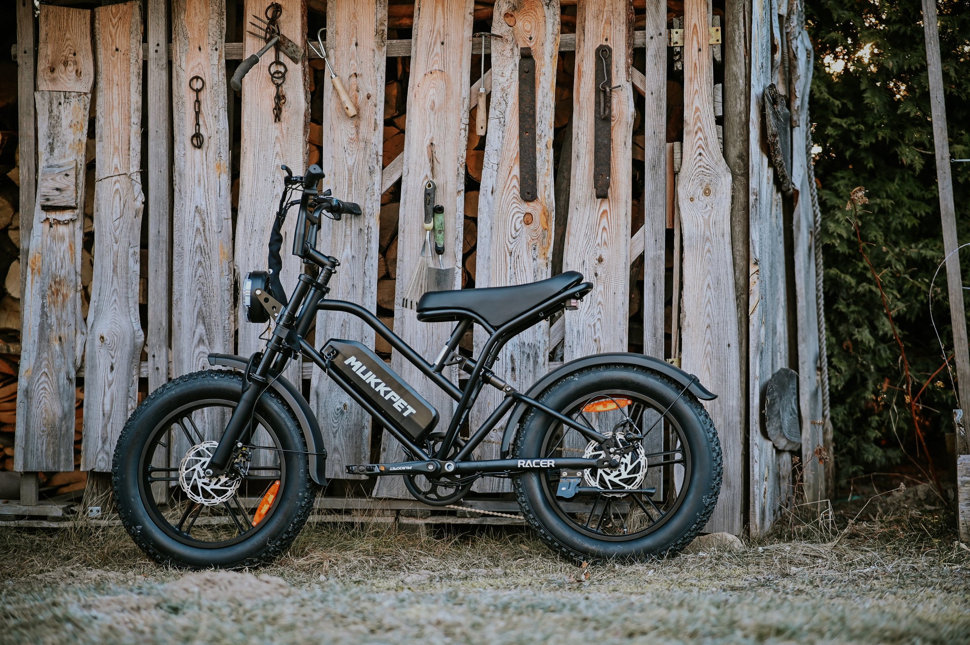 Moped-Style E-Bikes in Europe: The Ultimate Guide to Power, Style, and Performance