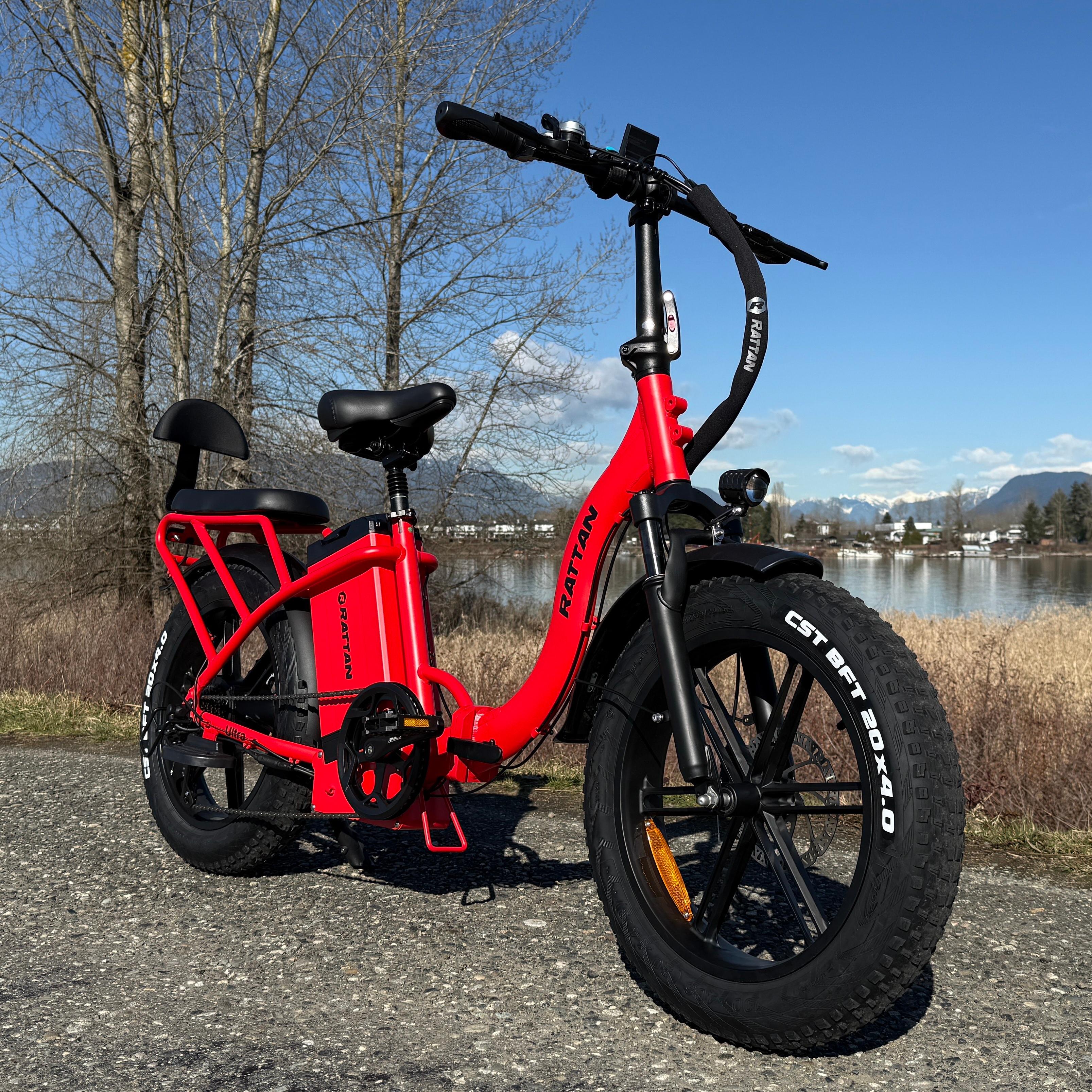Rattan Foldable Ebikes Removable Battery 20