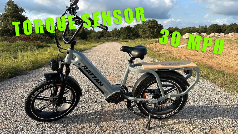 The Rattan Quercus is a Crazy Fast and Tough Electric Bike for 2023!